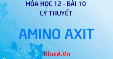 Amino Axit là gì? Tính chất vật lý, Tính chất hóa học và Cấu tạo phân tử Amino Axit - Lý thuyết Hóa 12 bài 10